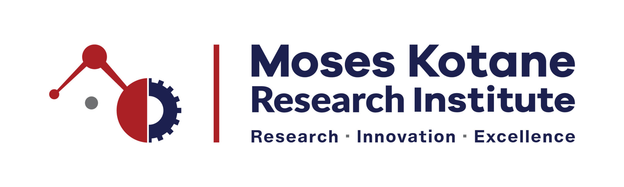 Infographics - Moses Kotane Research Institute